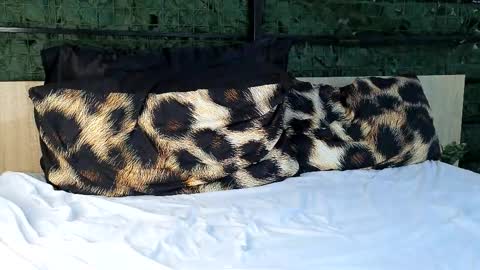 ryanstorm1 online show from October 24, 10:28 pm