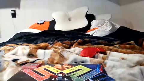 RyTracey2024 online show from January 14, 8:37 pm