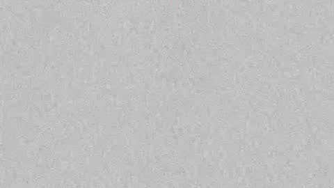 Leslie Beltrn online show from October 6, 3:59 am