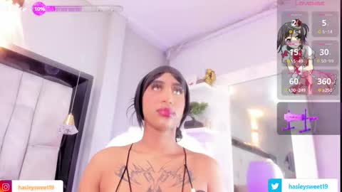  Hasley  online show from February 9, 10:47 pm