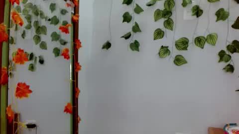 SABRI online show from February 3, 12:43 pm