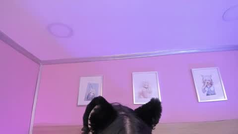 Snapshot of sachi_meow chatting on February 15, 3:31 am Ig online show from February 15, 3:31 am