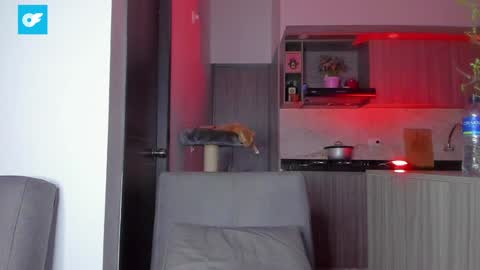 Sag online show from January 3, 12:54 am