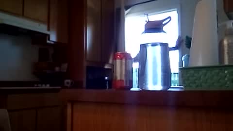 salis1981 online show from February 12, 7:09 pm