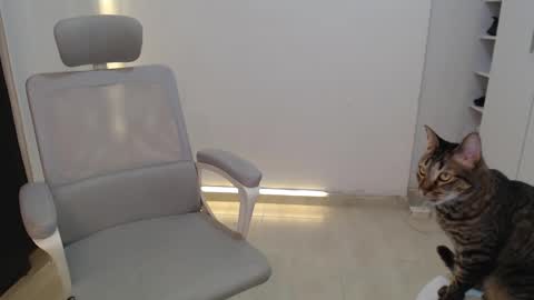 Salome online show from October 19, 3:34 pm