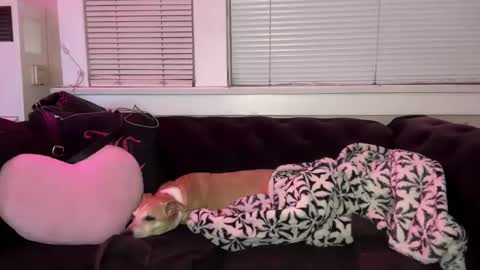 samanthafever online show from April 7, 11:54 am