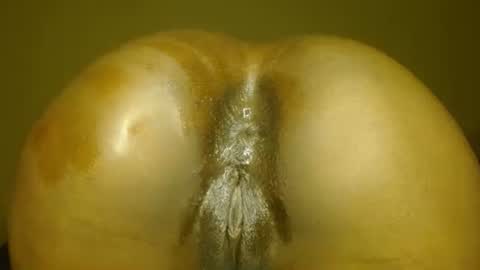 manth online show from November 14, 7:12 pm