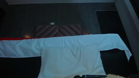 Snapshot of samarha_xue chatting on November 2, 11:34 am Sara  online show from November 2, 11:34 am