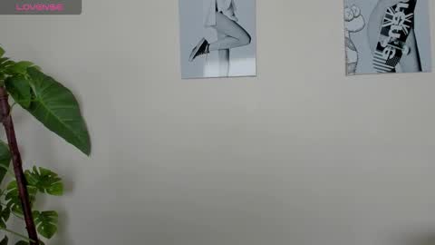 Samay online show from November 23, 2:17 pm