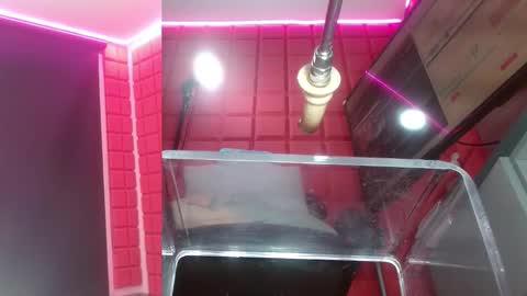 SAMMY online show from February 16, 10:33 am