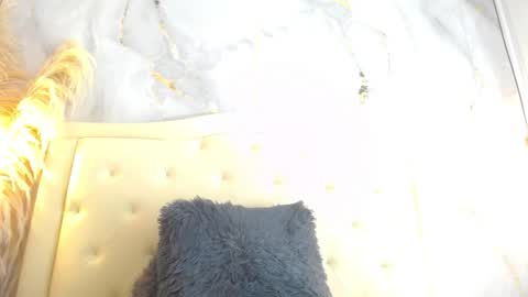 Snapshot of samy_moore14 chatting on December 13, 7:53 pm S A M A N T H A online show from December 13, 7:53 pm