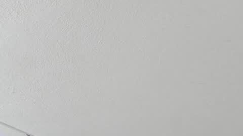 Samy  online show from October 19, 11:00 am