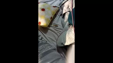 ShynNkd online show from February 12, 8:09 am