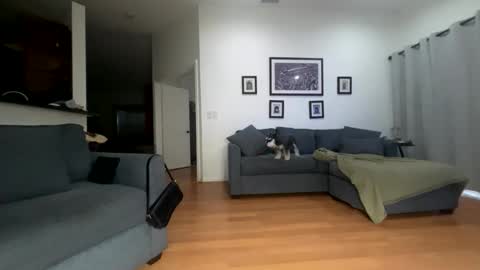 Santana online show from April 12, 10:53 am