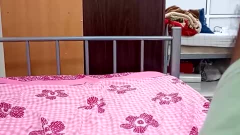 Harder online show from October 31, 1:34 pm