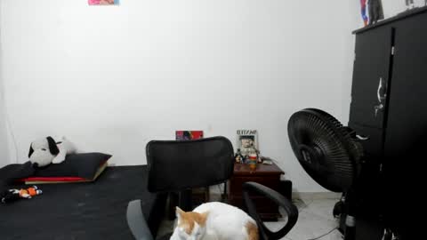 Snapshot of santiceballo chatting on July 17, 6:09 am Julius Novachrono online show from July 17, 6:09 am