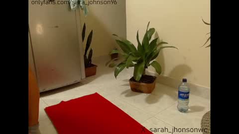 sara_johnson__ online show from December 27, 5:48 pm