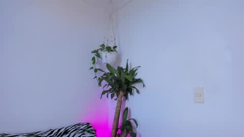 Sara Jules online show from July 28, 8:52 pm