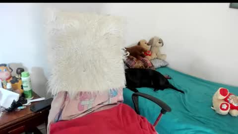 Sarah online show from December 14, 8:30 am