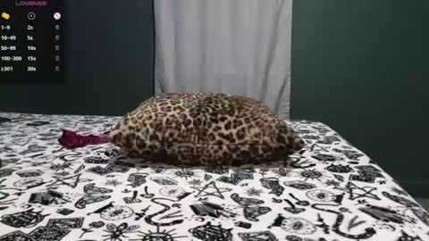 Snapshot of sarahsteveson chatting on June 29, 3:02 am Sarah Babes online show from June 29, 3:02 am