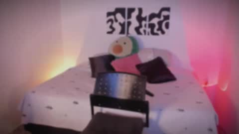 Sara online show from November 25, 10:43 pm