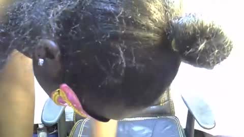 sasha_sexy769 online show from November 15, 7:10 pm