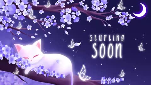 Sassy Sami Kittyn online show from February 17, 5:47 am