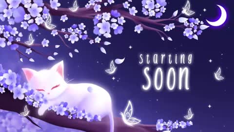 Sassy Sami Kittyn online show from March 11, 5:05 am