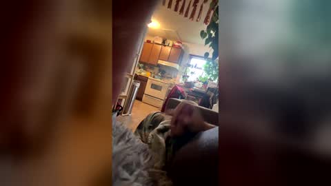 satchster online show from April 14, 2:12 pm