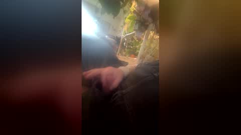 satchster online show from April 26, 10:18 pm