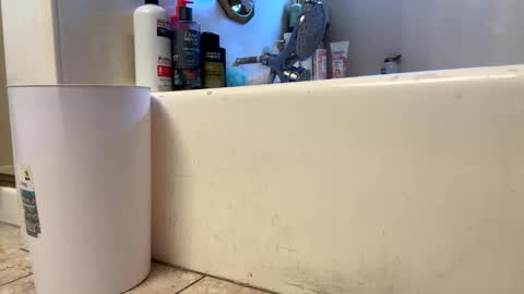 ElVergone online show from March 1, 11:40 pm