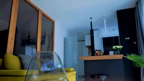 Wild influence online show from November 29, 12:30 pm