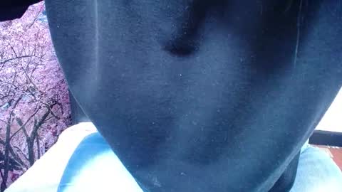 Savana online show from February 2, 3:11 pm