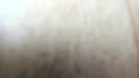 sayo_mao18 online show from September 24, 1:53 am