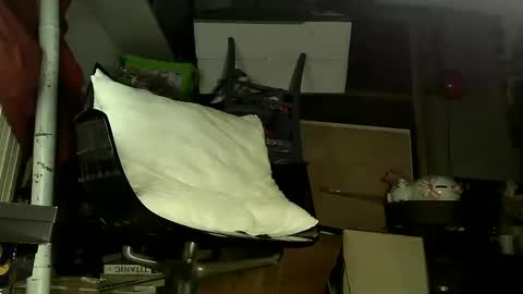 Sbamx online show from December 17, 5:29 am