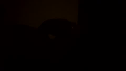 sc377003 online show from March 11, 2:54 am