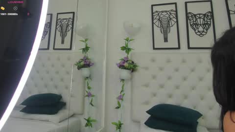 Isa online show from February 8, 11:01 am