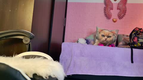 scarlett_099 online show from September 19, 11:55 am
