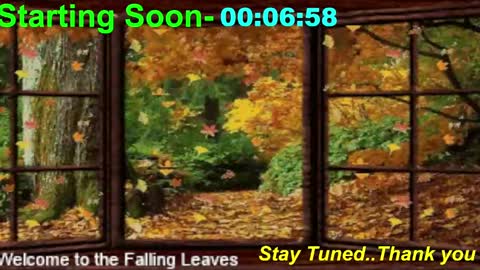 Snapshot of scifidiscoguy chatting on November 10, 1:04 am ...PHIL... online show from November 10, 1:04 am