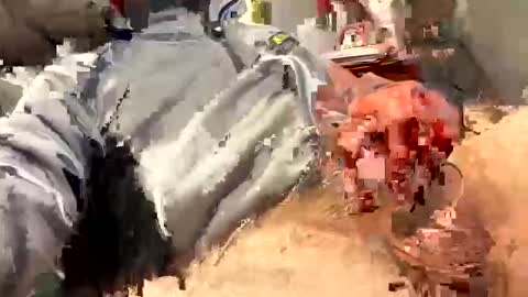 scottj603603 online show from February 18, 6:59 pm