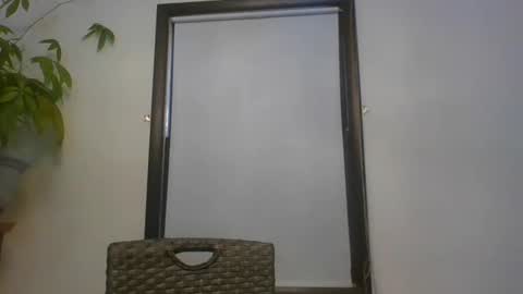 scottpbi52 online show from January 6, 6:52 pm