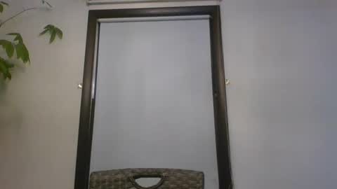 scottpbi52 online show from January 20, 1:00 pm