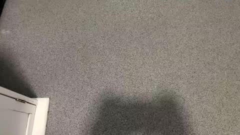 Snapshot of scottyc48 chatting on November 12, 2:39 pm scottyc48 online show from November 12, 2:39 pm