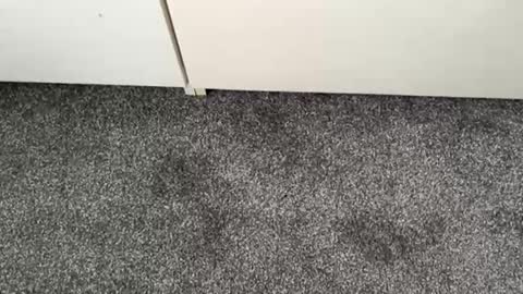 Snapshot of scottyc48 chatting on November 13, 2:49 pm scottyc48 online show from November 13, 2:49 pm