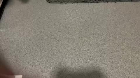 Snapshot of scottyc48 chatting on December 1, 2:11 pm scottyc48 online show from December 1, 2:11 pm