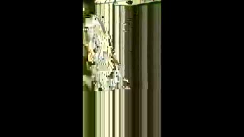 scoutiii online show from May 1, 7:57 am