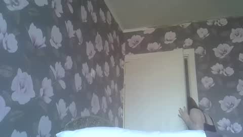 scylla5 online show from March 26, 11:16 am