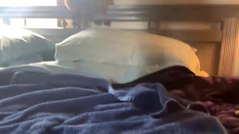 Snapshot of seaboy78 chatting on December 15, 6:26 pm Skylar87 online show from December 15, 6:26 pm