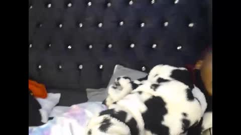 sebatrishaa online show from October 23, 10:52 pm