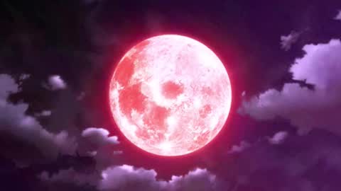 Selene G  online show from January 7, 1:19 am